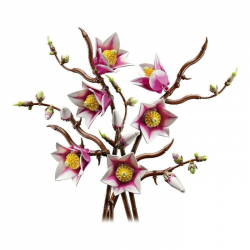 LEGO BOTANICAL - MAGNOLIA BRANCHES 11510