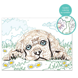 AS COMPANY PAINT AND FRAME ΖΩΓΡΑΦΙΖΩ ΜΕ ΑΡΙΘΜΟΥΣ LOVING PUPPY 1038-41012