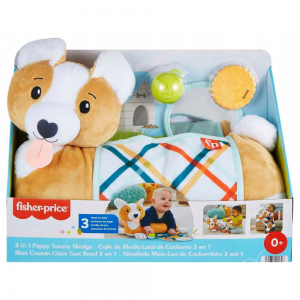FISHER PRICE ΜΑΞΙΛΑΡΑΚΙ ΔΡΑΣΤΗΡΙΟΤΗΤΩΝ - ΣΚΥΛΑΚΙ HJW10