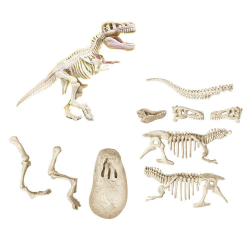 AS COMPANY ΜΑΘΑΙΝΩ ΚΑΙ ΔΗΜΙΟΥΡΓΩ LAB ΔΕΙΝΟΣΑΥΡΟΙ ΤΥΡΑΝΝΟΣΑΥΡΟΣ 1026-63413