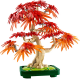 LEGO BOTANICALS JAPANESE RED MAPLE BONSAI TREE 10348 LEGO BOTANICALS JAPANESE RED MAPLE BONSAI TREE 10348