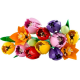 LEGO BOTANICAL - COLLECTION TULIP BOUQUET 11501