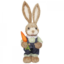 ΛΑΓΟΣ ΜΕ ΜΠΛΟΥΖΑΚΙ ΚΑΙ ΚΑΡΟΤΟ 33Χ13Χ10CM 73-2072