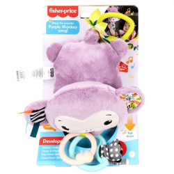 FISHER PRICE ΚΡΕΜΑΣΤΟ ΜΑΪΜΟΥΔΑΚΙ ΜΕ ΜΟΥΣΙΚΗ JFF02