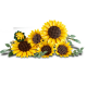 LEGO BOTANICALS - SUNFLOWER BOUQUET 11502