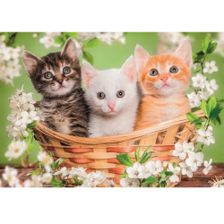 CLEMENTONI PUZZLE 2X60 ΤΕΜ SUPER COLOR BROTHERS IN FUR 88279 / 24820