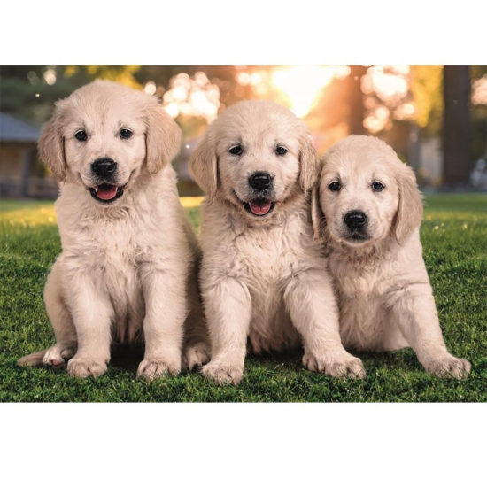 CLEMENTONI PUZZLE 2X60 ΤΕΜ SUPER COLOR BROTHERS IN FUR 88279 / 24820