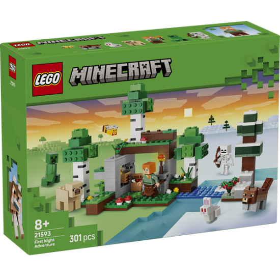 LEGO MINECRAFT FIRST NIGHT ADVENTURE 21593