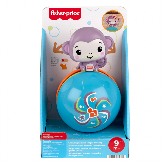 FISHER PRICE ΜΑΪΜΟΥΔΑΚΙ ΜΠΑΛΙΤΣΑ ΜΕ ΚΙΝΗΣΗ JLB95