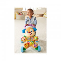 FISHER PRICE ΕΚΠΑΙΔΕΥΤΙΚΗ ΣΤΡΑΤΑ ΣΚΥΛΑΚΙ SMART STAGES FTC66