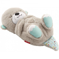 FISHER PRICE ΒΙΔΡΑ ΜΕ ΚΙΝΗΣΗ ΑΝΑΠΝΟΗΣ ΚΑΙ ΜΟΥΣΙΚΗ FXC66