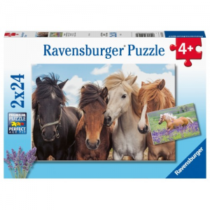 RAVENSBURGER PUZZLE 2Χ24 ΤΕΜ ΑΛΟΓΑ 05148