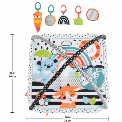 FISHER PRICE ΜΟΥΣΙΚΟ ΓΥΜΝΑΣΤΗΡΙΟ 3 ΣΕ 1 HBP41